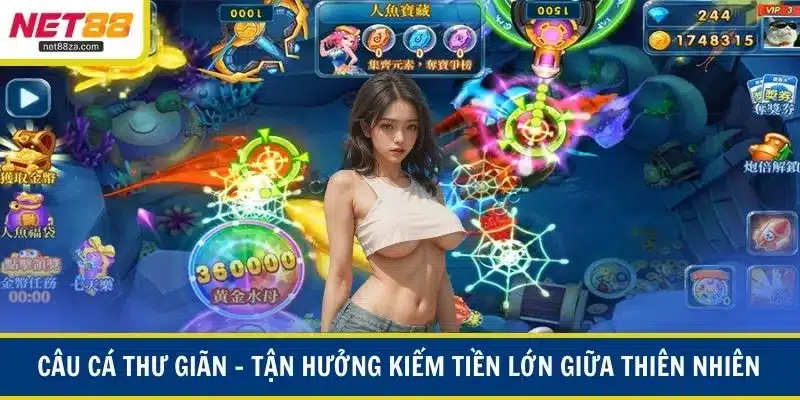 Câu cá thư giãn